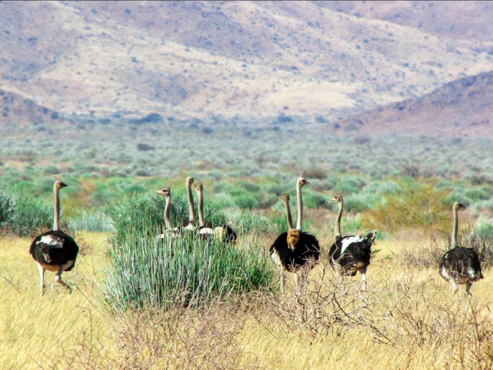 Mount Canyon Guest Farm ケートマンスフープ エクステリア 写真